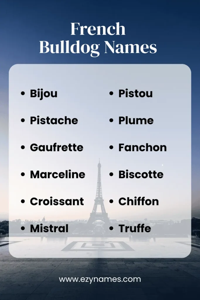 Fun French Bulldog Names for Pets 1