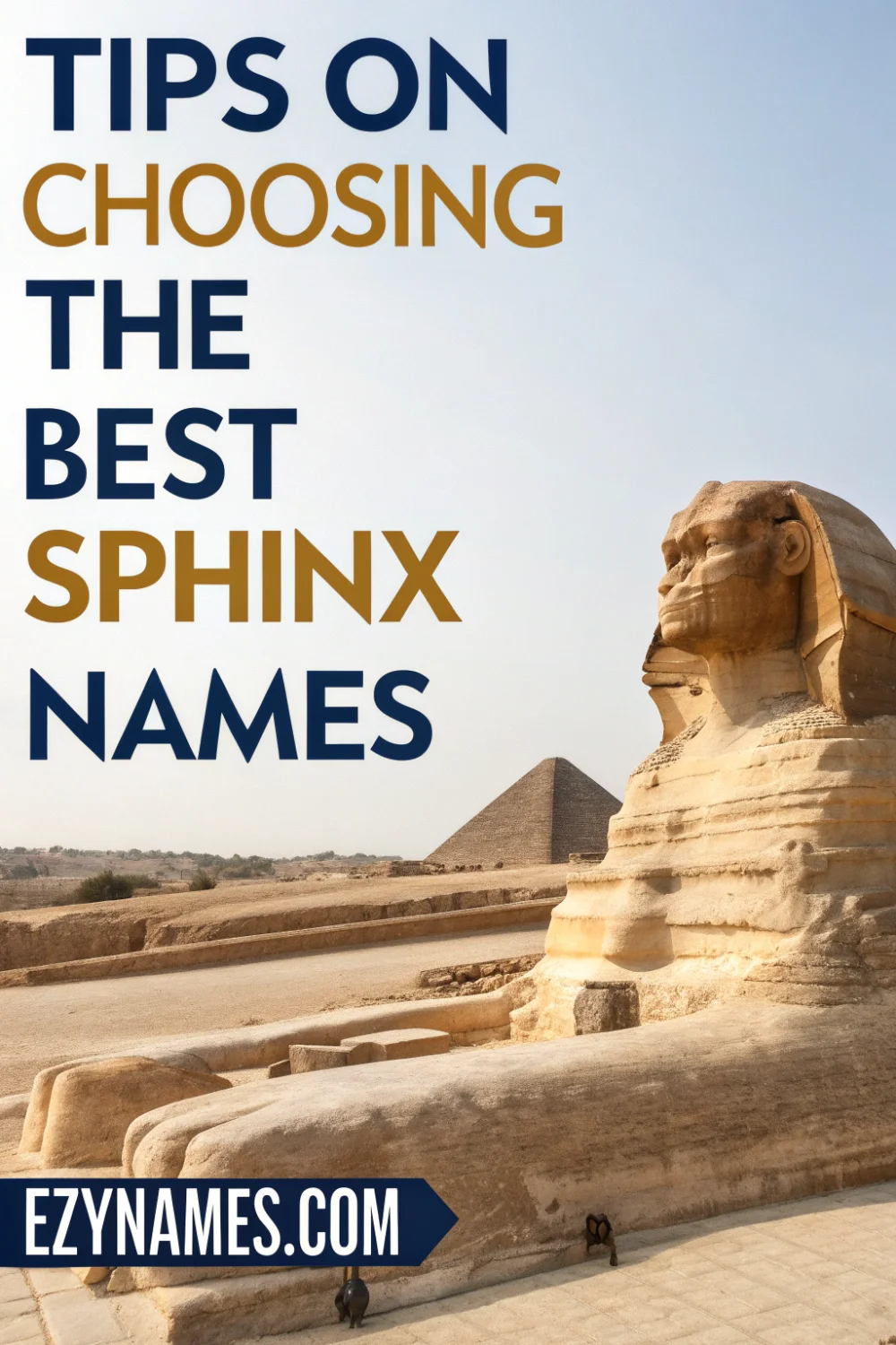 tips on choosing the best sphinx names