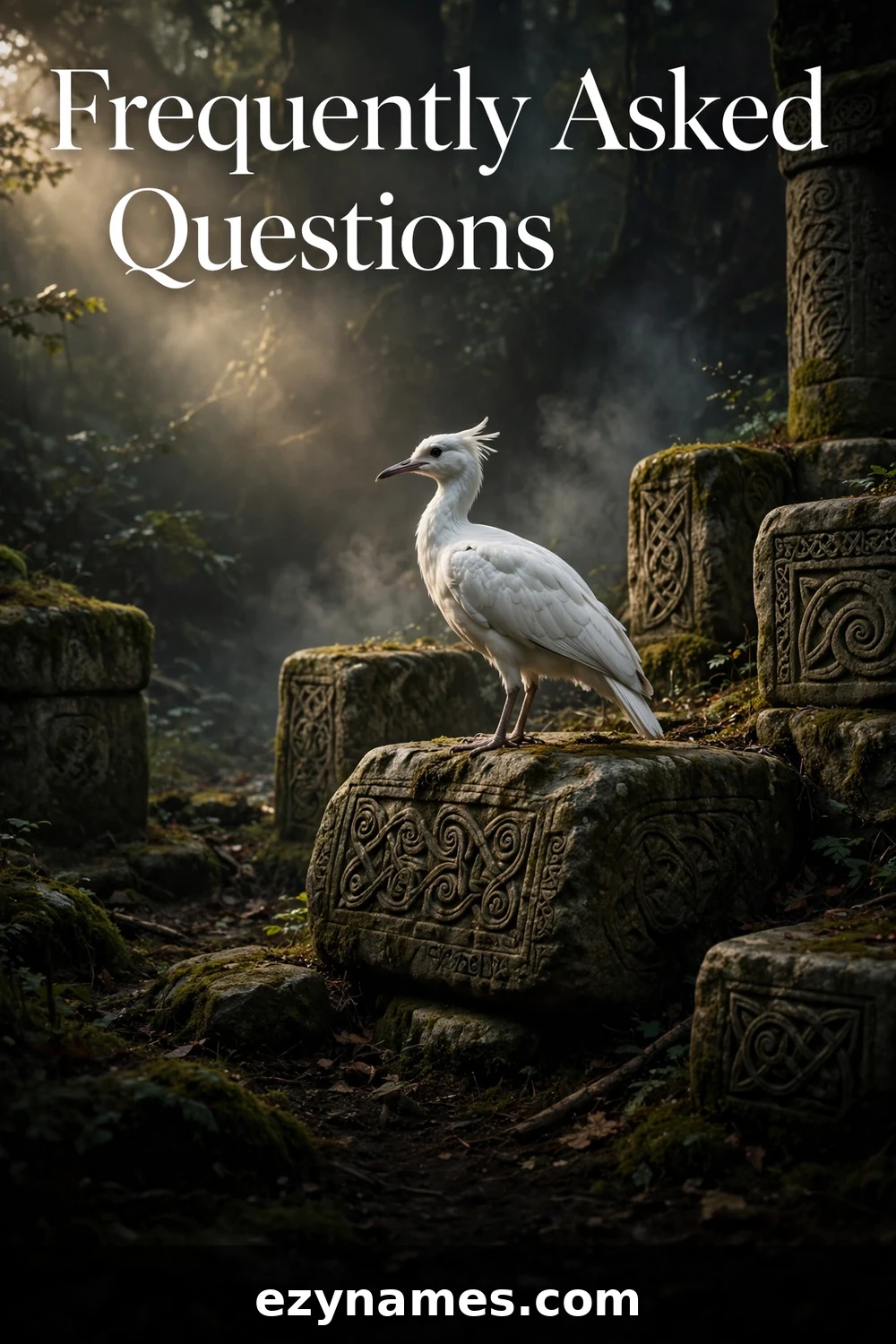 Frequently Asked Questions - name ideas with meanings | ezynames.com