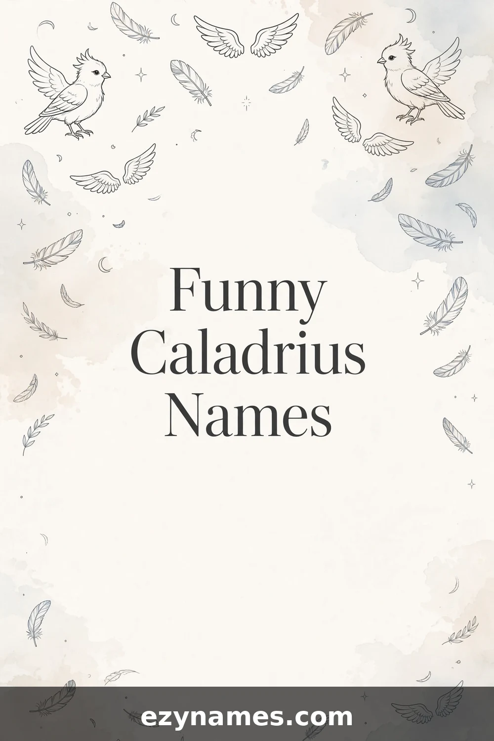 Funny Caladrius Names - name ideas with meanings | ezynames.com