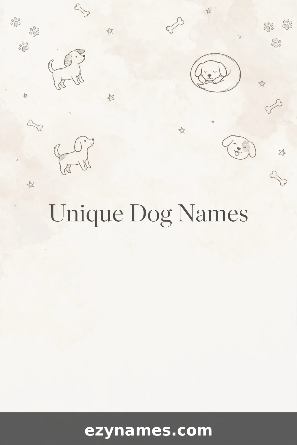 Unique Dog Names - name ideas with meanings | ezynames.com